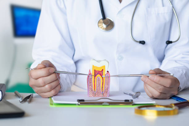 Best Emergency Dentist for Lost Fillings or Crowns in Honea Path, SC